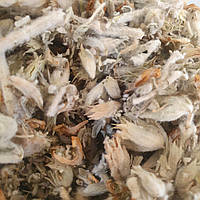 1 кг Панцерия шерстистая трава сушеная (Свежий урожай) лат. Panzerina