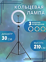 Кольцевая лампа светодиодная 33 см со штативом для блогеров и тик ток, работает от павербанка TP-210