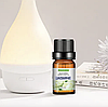Ефірні олії натуральне аромамасло для зволожувача повітря троянда лаванда океан жасмин сандальне дерево 10 мл, фото 9