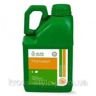 Інсектицид Наповал, 5 л, Alfa Smart Agro