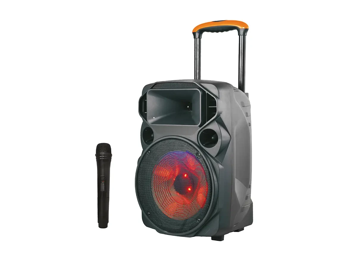 Акустична переносна колонка ZXX-1209 30Вт 12" 52х34х32см USB/TF/FM/BT/MIC/ДК 1шт 9452