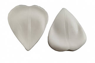 Вайнер Пелюстка тюльпана