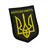 ВОЛЯ АБО ЗМЕРТИ, фото 3