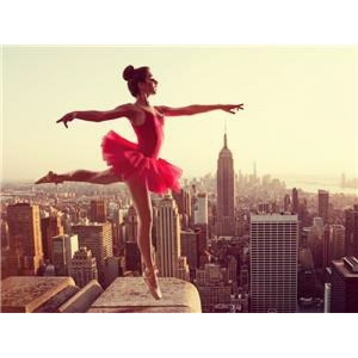 Картина за номерами 40х50 см DIY Балет на даху (RSB8370), фото 1