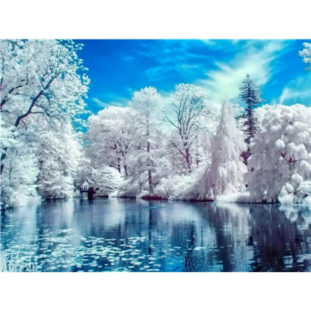 Картина за номерами 40х50 см DIY Іній (Y5229), фото 1