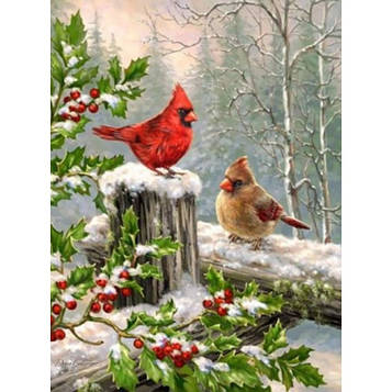 Картина за номерами 40х50 см DIY Кардинали (Y5565)