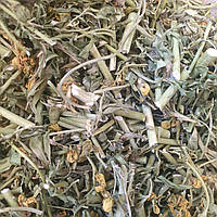 1 кг Рута душистая/садовая трава сушеная (Свежий урожай) лат. Rúta graveólens