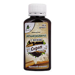 Сироп "Загальнозміцнювальний з мумійо", 100 мл, Еліксір