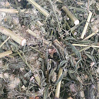 1 кг Мелколепестник канадский/заткни гузно трава сушеная (Свежий урожай) лат. Erígeron canadénsis