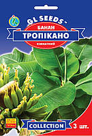 Банан Тропикано семена (3 шт), Collection, TM GL Seeds