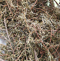 1 кг Можжевельник трава/ветки сушеные (Свежий урожай) лат. Juníperus