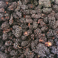 1 кг Шелковица черная сушеные ягоды/плоды сушеные (Свежий урожай) лат. Mórus nígra