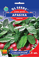 Кава насіння (5 шт) кавове дерево Арабіка, Collection, TM GL Seeds