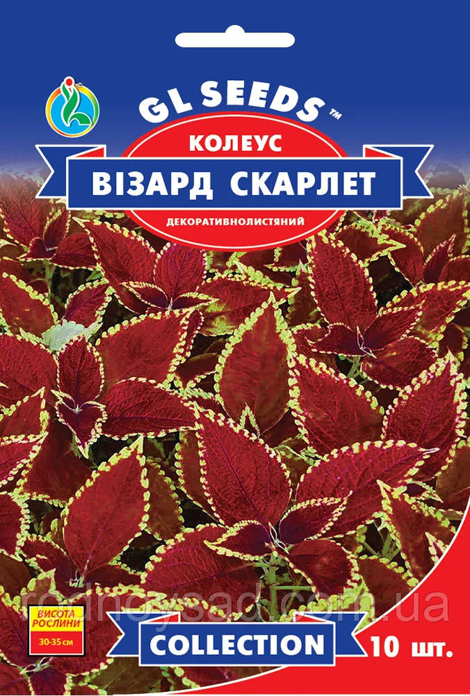 Колеус Візард Скарлет насіння (10 шт.), Collection, TM GL Seeds