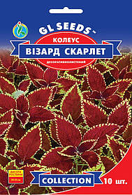 Колеус Візард Скарлет насіння (10 шт.), Collection, TM GL Seeds