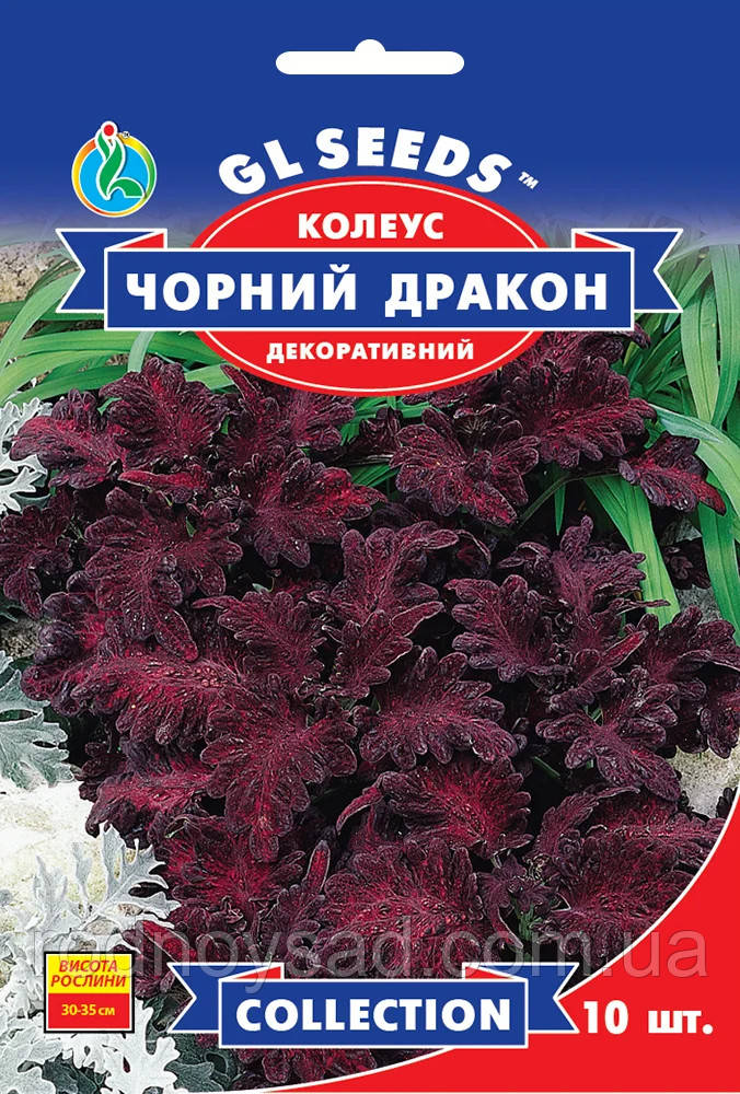 Колеус Чорний Дракон насіння (10 шт.), Collection, TM GL Seeds