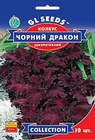 Колеус Чорний Дракон насіння (10 шт.), Collection, TM GL Seeds