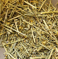 1 кг Молочай болотный трава (Свежий урожай) лат. Euphórbia palústris