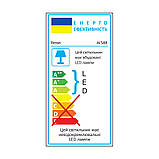 Світлодіодний світильник Feron AL588 12W 5000К, фото 2