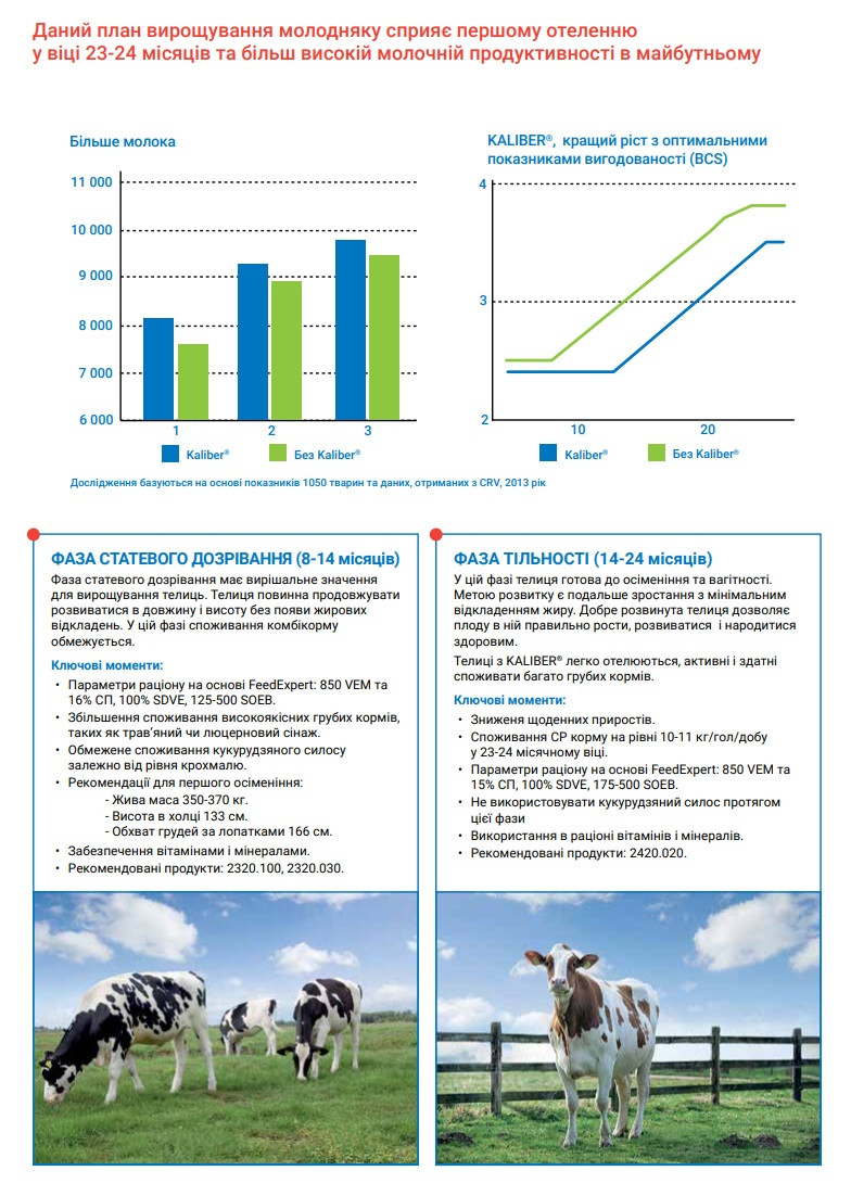 Стартер для телят Концентрат (БМВД) 30% (25 кг) Коудайс Україна 2120.300 - фото 5 - id-p1691984927