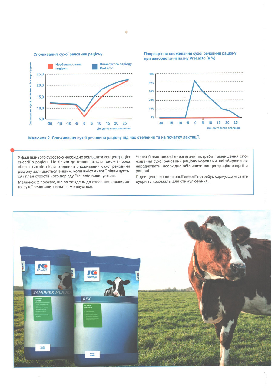 Концентрат (БМВД) 10% для лактуючих корів (25кг) (для підняття надою) Коудайс Україна 2320.100 (7074) - фото 2 - id-p1691984929