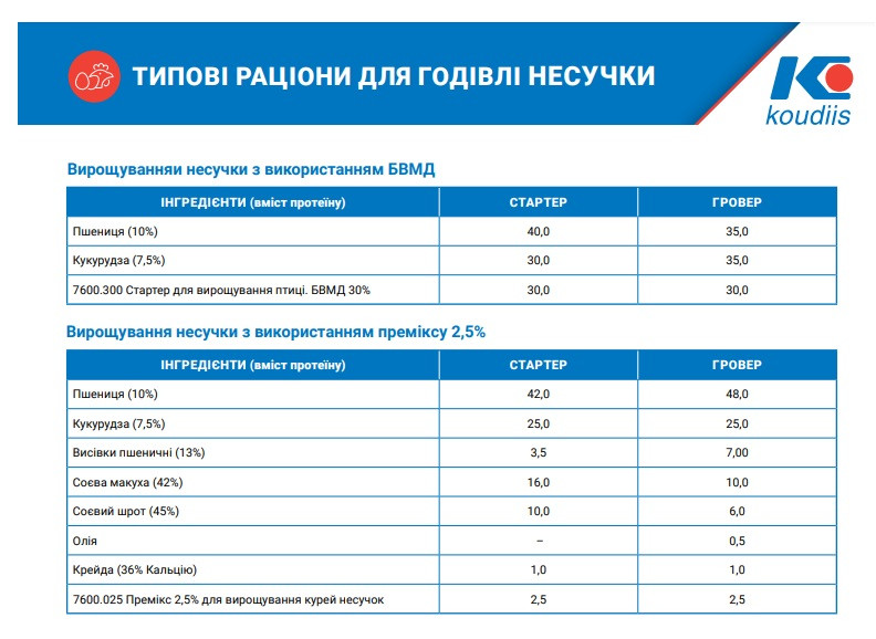 Стартер, гровер для курей несучок Премікс 2,5% (25кг) Коудайс Україна 7600.025 (5441) - фото 3 - id-p1691984948