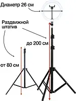 Кольцевая лампа LED светодиодная диаметр 26 см штатив 2 м с держателем для смартфона TP