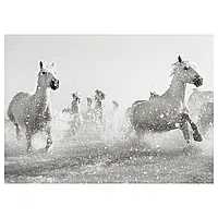 ПЬЕТТЕРИД Картина, скачущие лошади, 70x50 см