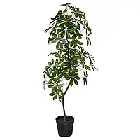 FEJKA Искусственное растение в горшке, Североамериканская магнолия для дома и улицы, 23 см