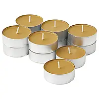 PRAKTRÖNN Ароматическая свеча/металлический контейнер, весенние травы/мед коричневый, 9 часов