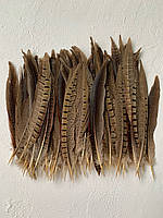 Перья фазана 20-25 см (5 шт)