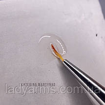 Brush Cleaner (очисник пензлів) Lady Arms 5гр/пензл, фото 5