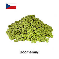 Хмель Бумеранг (Boomerang), α-11%