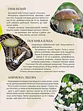 Перлини природи України Станкевич Т.О. Талант, фото 5