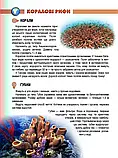 Мешканці морів та океанів Енциклопедії для допитливих  Жабська Т.С. Талант, фото 3