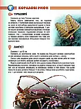 Мешканці морів та океанів Енциклопедії для допитливих  Жабська Т.С. Талант, фото 4
