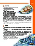 Мешканці морів та океанів Енциклопедії для допитливих  Жабська Т.С. Талант, фото 6