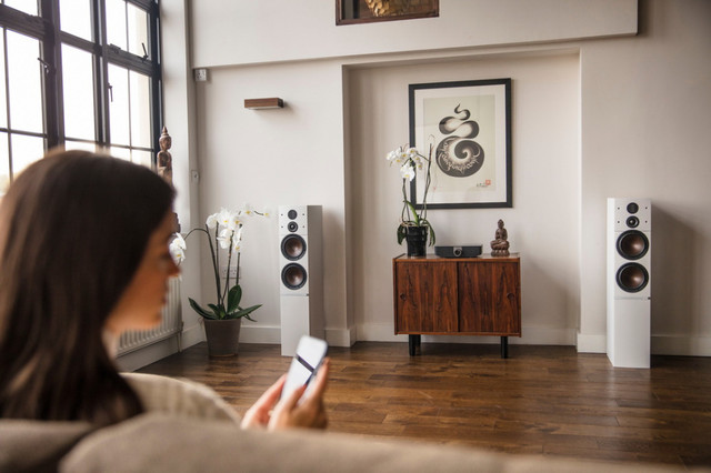 DALI Callisto 6 C DALI Callisto 6 C