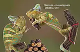 Тварини - винахідники і будівельники Енциклопедії для допитливих  Гапченко А.В. Талант, фото 8