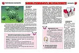 Я знаю, як це працює Енциклопедії для допитливих  Жабська Т.С. Талант, фото 6