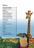 Тварини  Енциклопедії для допитливих Жабська Т.С. Талант, фото 8