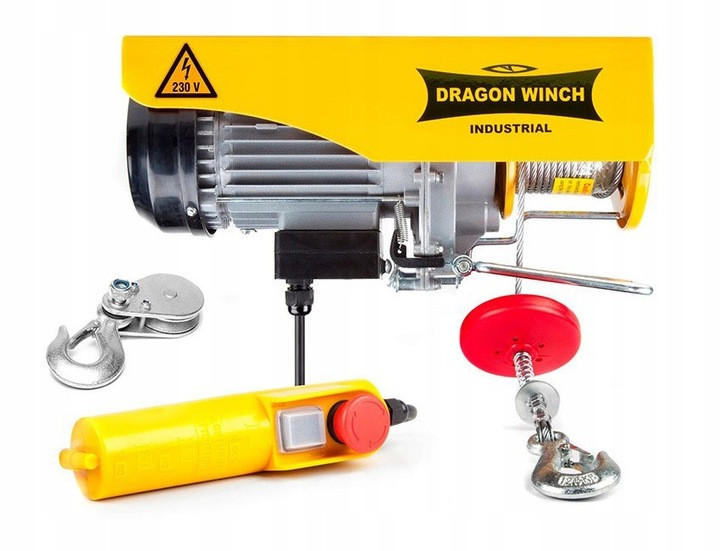 Тельфер електричний Dragon Winch DWI 300/600 кг 1650Вт
