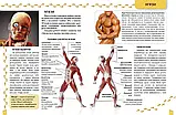 Про тіло людини  Енциклопедії для допитливих Жабська Т.С. Талант, фото 3