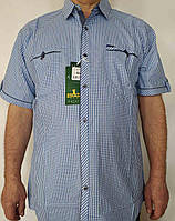 Рубашка мужская размера XL классическая с коротким рукавом