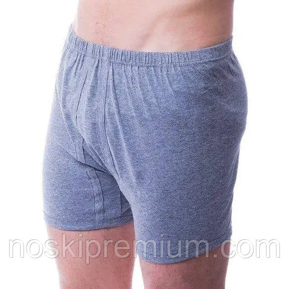 Чоловічі труси сімейні 100% бавовна Ezgi, Туреччина, розмір №5 (46-48), сірі, 08494, фото 1