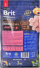 Сухий корм для цуценят та молодих собак великих порід з куркою Brit Premium Junior L 3 кг, фото 3