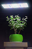 240W 416LED Квантум борд "Люмен 240" для рослин (Повний спектр Фітолампа Гроубокс Теплиця Quantum board), фото 4