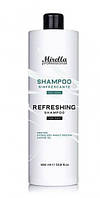 Шампунь для мужчин с ментолом и касторовым маслом Shampoo Mirella Professional, 1000 мл