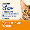 Cat Chow (Кет Чау) Adult Консерви для дорослих кішок з лососем і зеленою квасолею в желе 85г, фото 6