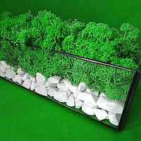 Моссариум флорариум стеклянный со стабилизированным мхом и камнями 30*7*7 см салатовый